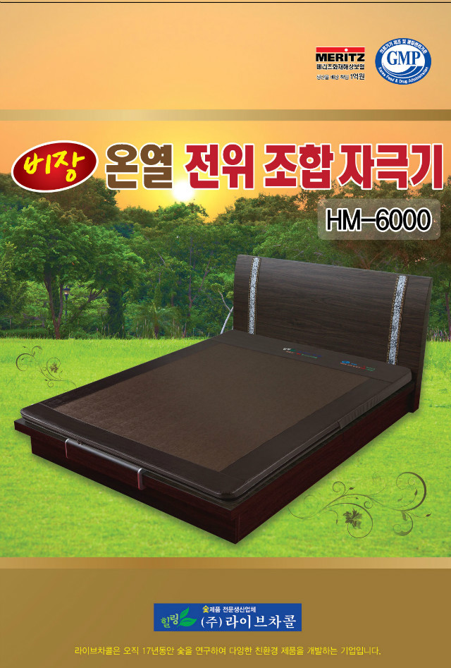 비장온열전위조합자극기부1.jpg